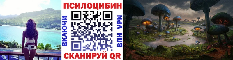 наркота  Беслан  Псилоцибиновые грибы прущие грибы 