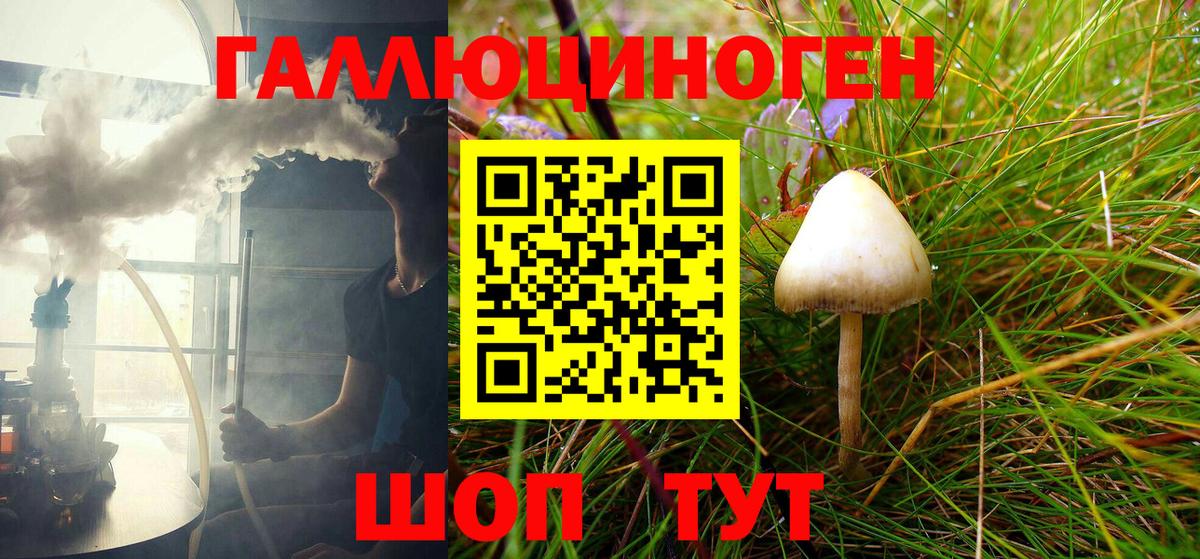 Псилоцибиновые грибы Psilocybe Беслан