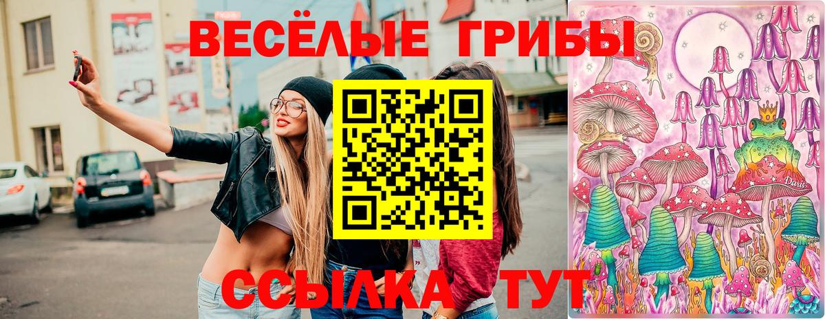 магазин  наркотиков  Беслан  Псилоцибиновые грибы Psilocybine cubensis 