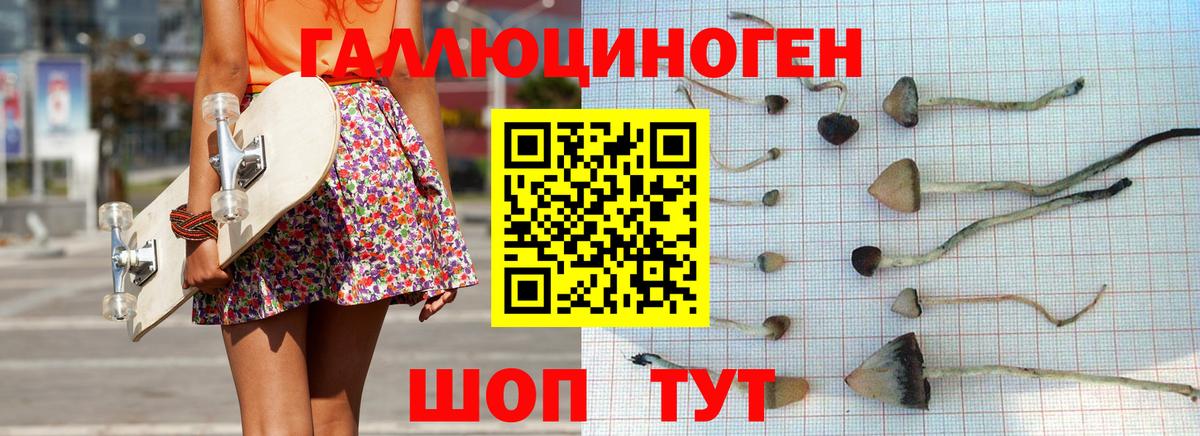 Псилоцибиновые грибы Psilocybine cubensis Беслан